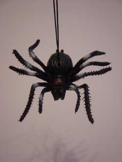 Pavouk na gumě