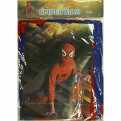 Dětský kostým - Spiderman