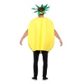 Ananas - Kostým 